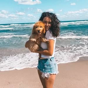 Meet your Posher, Daisy